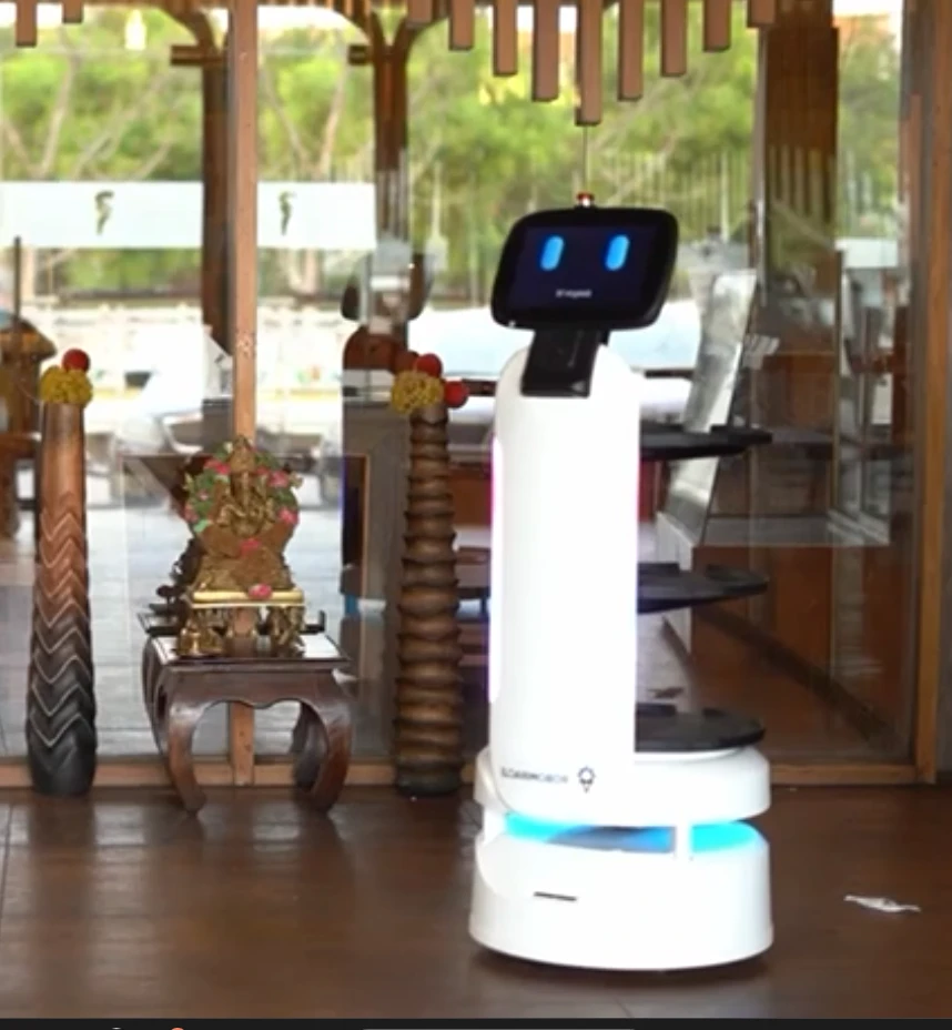 Service Dinebot – Restaurant Robot for Rent | Buy Serving Robot India ...