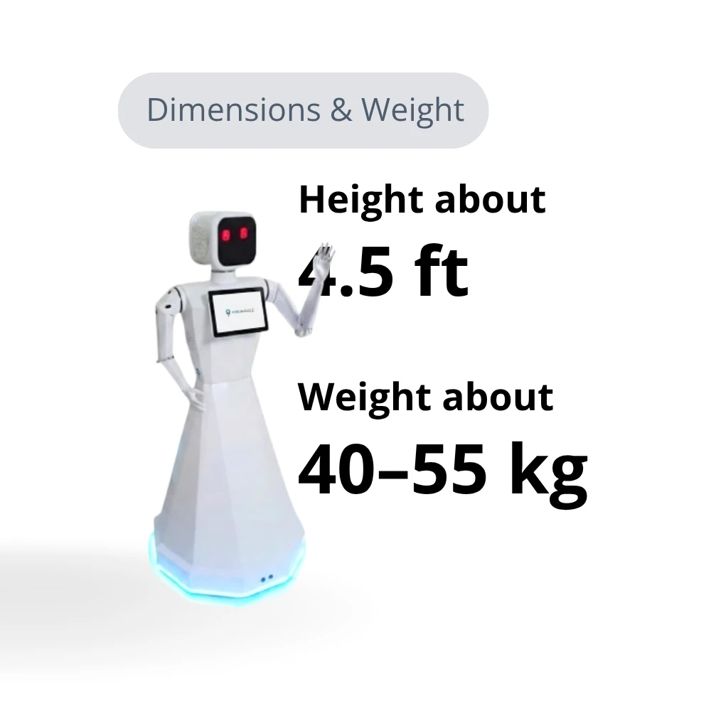 Nila Robot expressive hand movement system