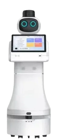 Reception Robot Voice Interaction