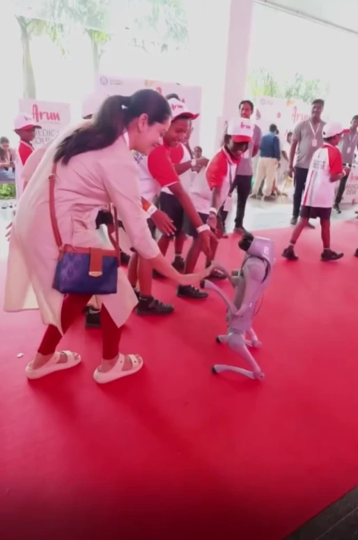 Subramani obstacle detection